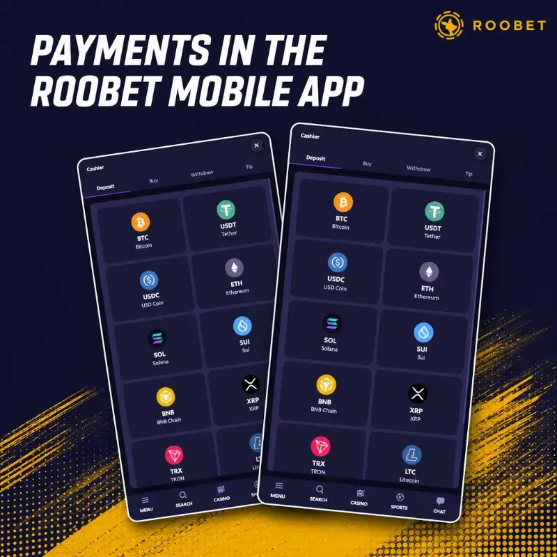 Cashier on the Roobet mobile site, illustration
