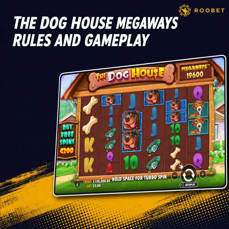 The Dog House Megaways Rules and Gameplay on Roobet, illustration