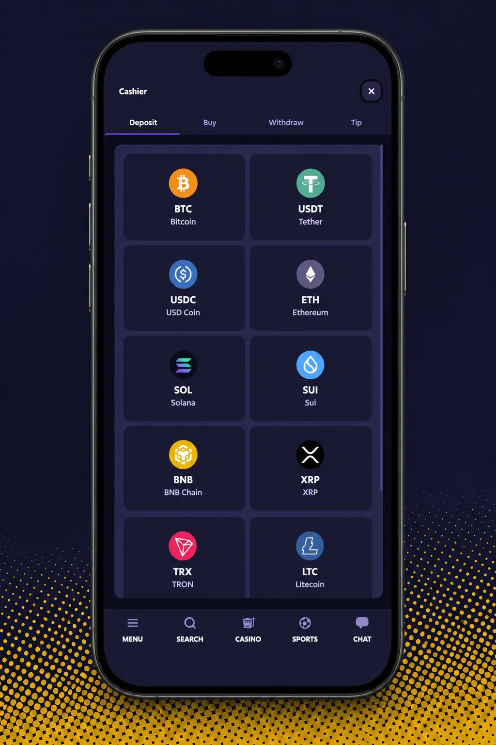 Step-by-step guide showing how to make a deposit on Roobet using UPI, CASH, or cryptocurrency